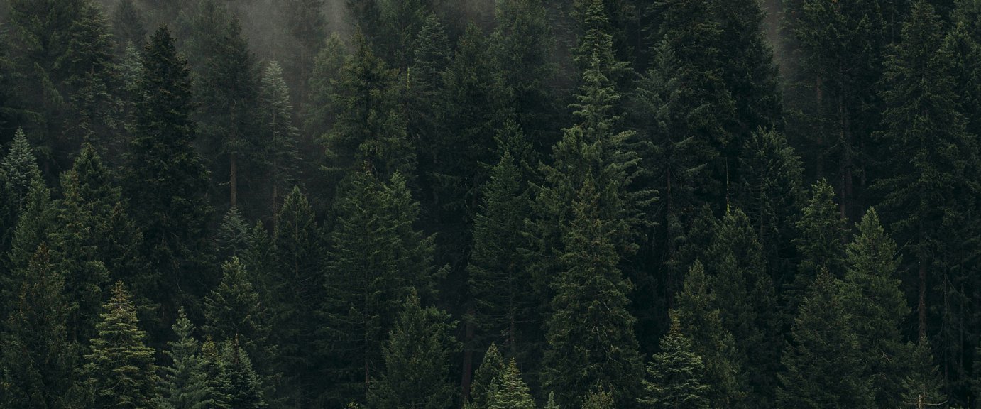 foret